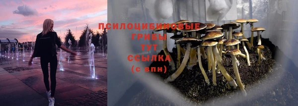 мдпв Бугульма