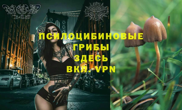 соль ск Бронницы