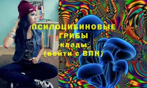 мдпв Бугульма