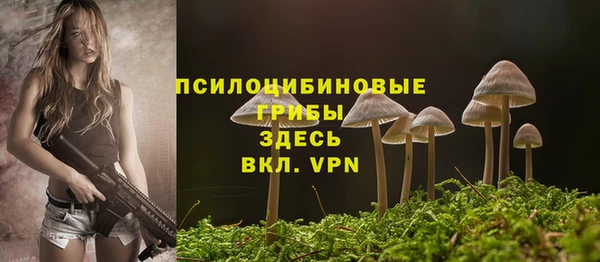 соль ск Бронницы