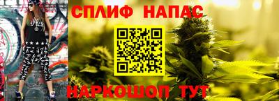 прущая мука Гатчина