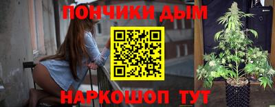 дмт Гай