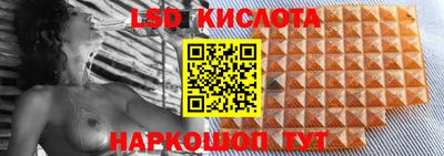 дмт Гай