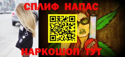 дмт Гай