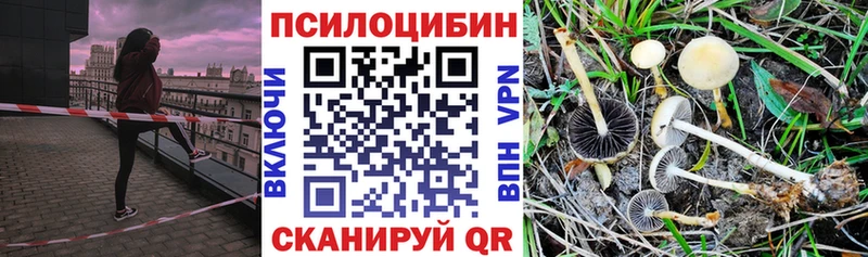 shop Telegram  MEGA   Коммунар  купить наркотик  Псилоцибиновые грибы ЛСД 