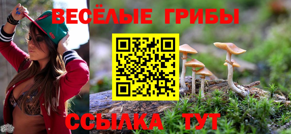 Коммунар  Галлюциногенные грибы Cubensis  Вход с VPN 
