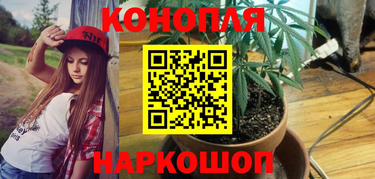 Марихуана план  Конопля MAZAR  Вход с VPN  Коммунар  Бошки марихуана MAZAR 